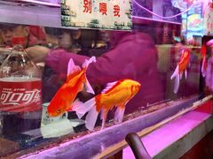 -粗粮人家·东北菜(洋桥店)