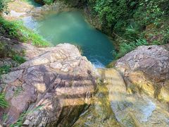 -南海湾森林生态园