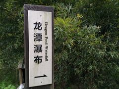 -东海大峡谷