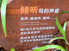 -华侨城湿地公园