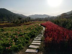 -玉华宫景区