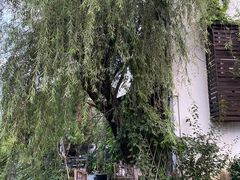 -大小河街