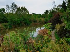 -桤木河湿地公园