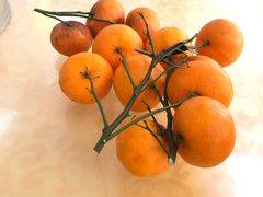 -思远客家菜馆(巴伐利亚店)