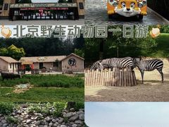 -北京野生动物园