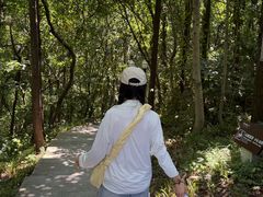 -句容茅山景区