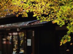 -三千院