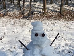 -武陵山森林公园