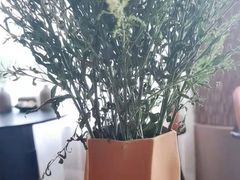 -裕和堂中医推拿艾灸(太古汇臻品店)
