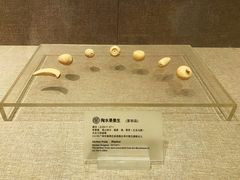 -南越王博物院(王宫展区)