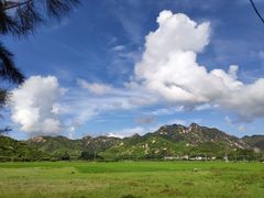 -浪琴湾度假村
