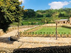 -福建土楼（华安）旅游区•大地土楼群
