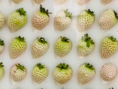 -西郊国际农产品交易中心