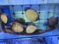 -日照大牌檔•小船海鲜(万平口店)