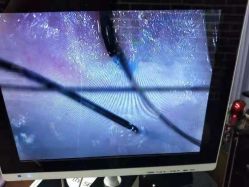 点击看大图 -尚丹尼造型