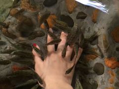 -天目湖涵田半山温泉水乐园