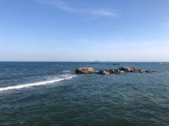-海合安青岛极地海洋公园