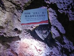 -周口店北京人遗址公园