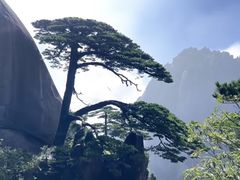 -黄山风景区