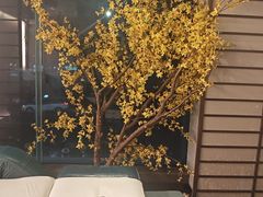 -上足·影院足道·SPA(红岭店)