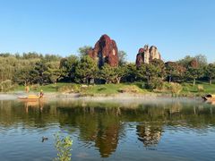 -北京野生动物园