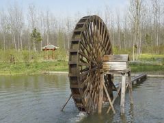 -合肥滨湖国家森林公园