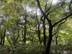 -杭州植物园