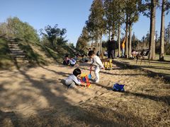 -前小桔亲子创意农场·草莓采摘·露营烧烤