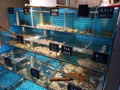 水产区-北戴河庆山饭店·海鲜砂锅粥(北戴河黑石路店)