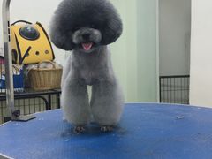 -沐沐家宠物(成寿寺店)