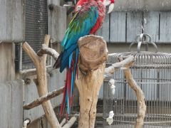 -大连森林动物园