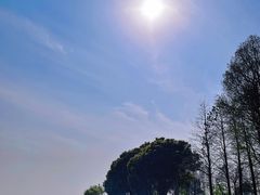 -贡湖湾湿地公园