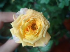 -方快-照相馆(淮海路新海影店)