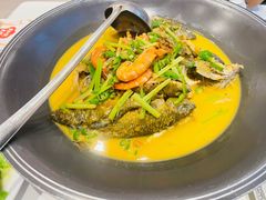 -饭怕鱼·黄焖鲟龙鱼(湖大店)