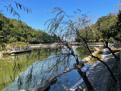 -广州市帽峰山景区
