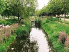 -东郊湿地公园