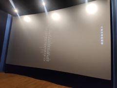 -汉阳天河电影城(王家湾店)