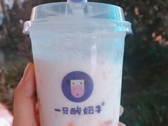 -一只酸奶牛(八一路店)