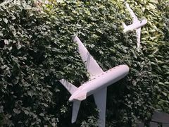 -郑州新郑国际机场-T2航站楼