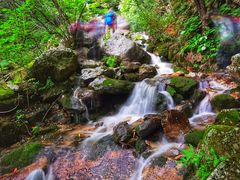-秦岭风景区