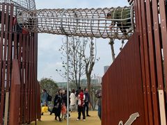 -枫香湖儿童公园