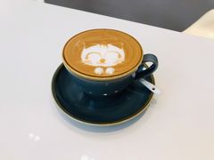 -飞行喵MR PILOT|猫舍·猫咖(静安大融城店)