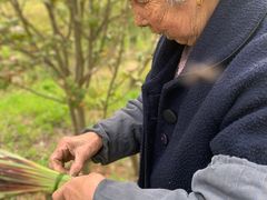 -南山风景名胜区