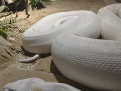 -贵州森林野生动物园