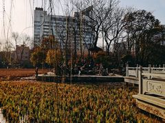 -莲湖公园