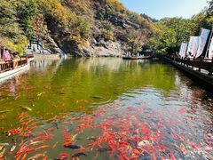 -丹东凤凰山景区