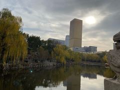-文瀛公园