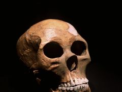 -上海崧泽遗址博物馆