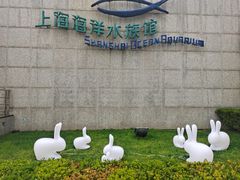 -上海海洋水族馆