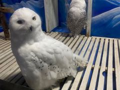 -成都浩海立方海洋公园